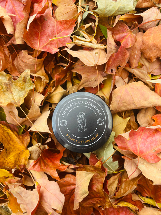 Pumpkin Marshmallow Whipped Tallow Balm